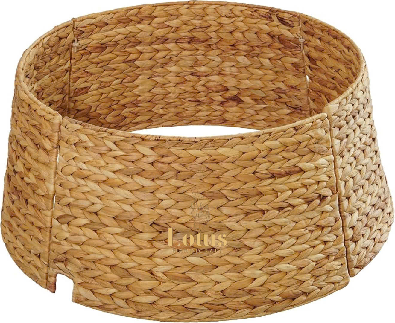 Chân cây thông lục bình